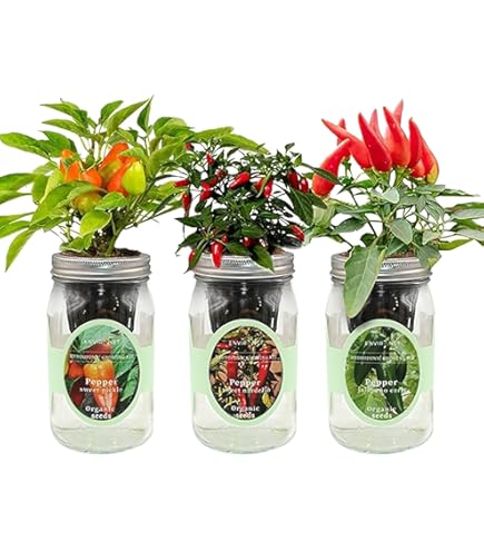 Amazon.com: Environet Hydroponic Herb Growing Kit Set, Self